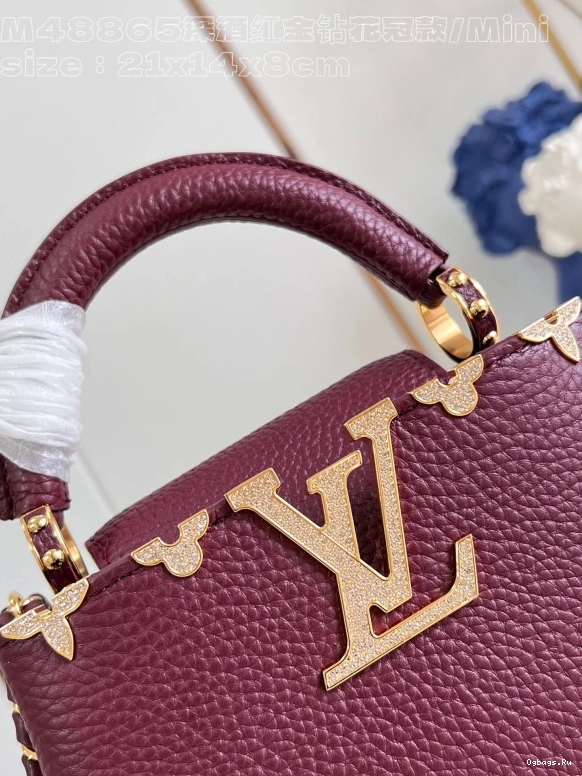 VUITTON LOUIS CAPUCINES MINI-21*14*8CM 0204